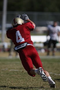 jiuyou.com-CBA赛季转会期开放多支球队进行大规模阵容调整，cba转会动态2021